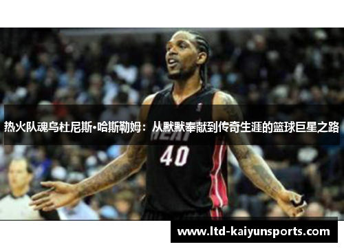 热火队魂乌杜尼斯·哈斯勒姆：从默默奉献到传奇生涯的篮球巨星之路
