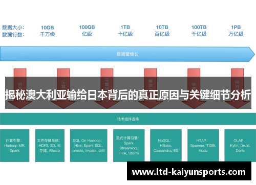 揭秘澳大利亚输给日本背后的真正原因与关键细节分析